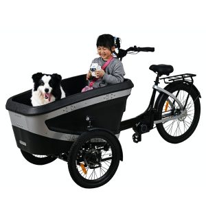 KK6088 Electric Cargo Bike Gallery 4